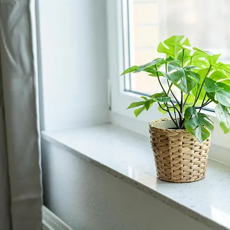 Appartement Fullhouse - - L10 *