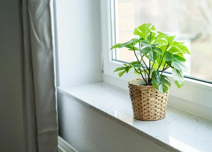 Apartman Fullhouse - - L10 *